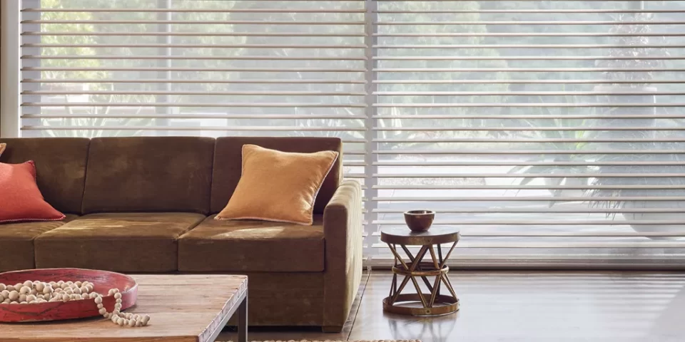 Silhouette Window Shadings