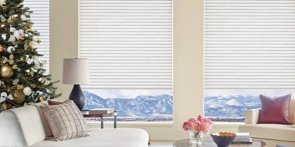 Sonnette Cellular Roller Shades